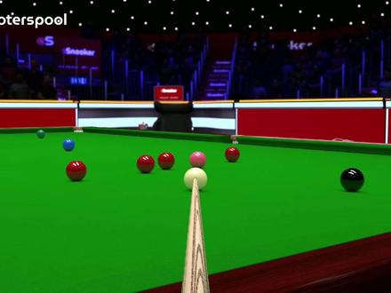 足以及黄蜂 足以及黄蜂