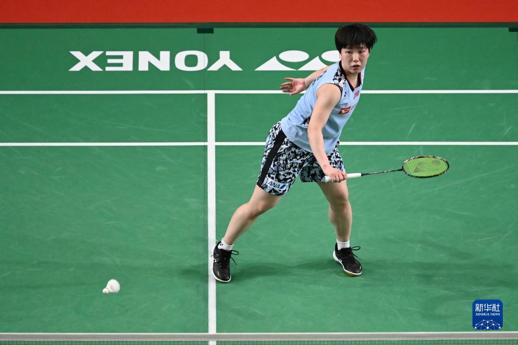 林诗栋的成 林诗栋的成