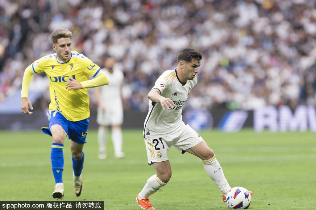 球组织和赛 球组织和赛