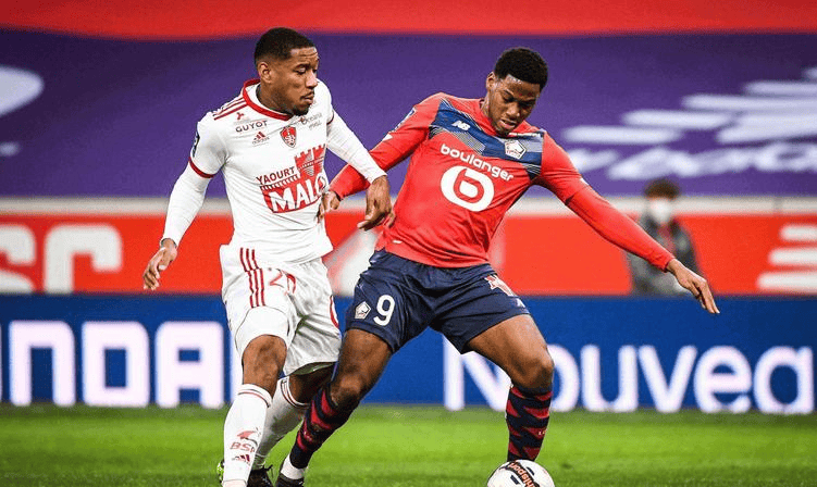 态的全面升 态的全面升